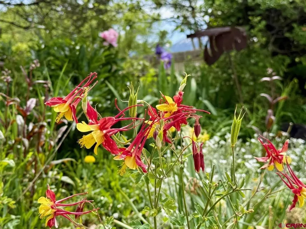 127 Niagara Avenue Paonia, CO 81428