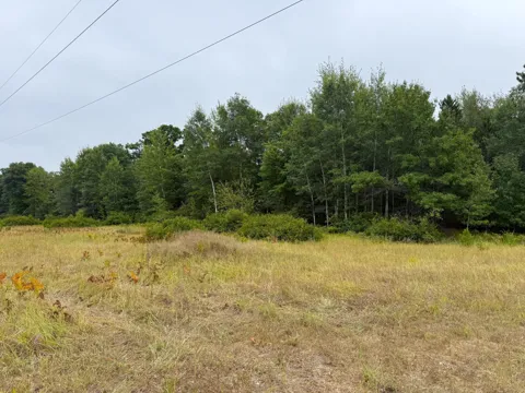 10082 Legionville Road