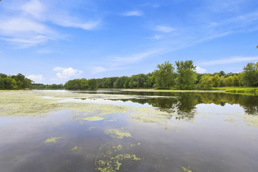 15534 Brunswick Road Pine City, MN 55063