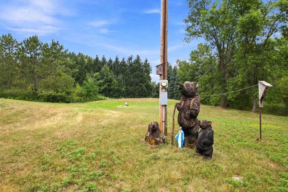 15534 Brunswick Road Pine City, MN 55063