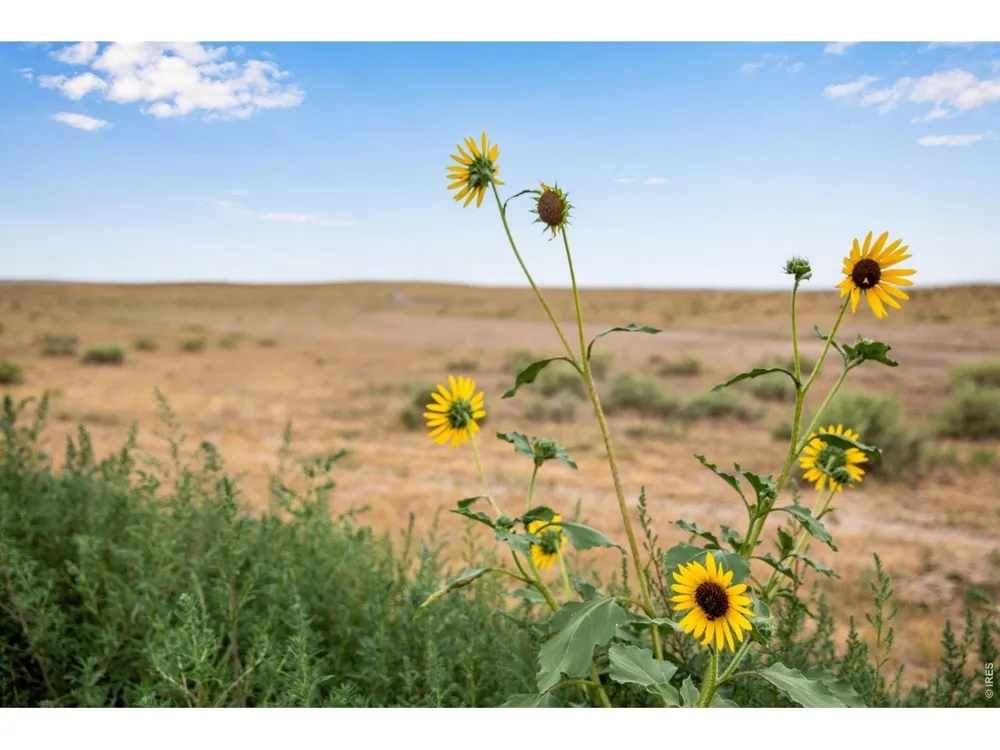 0 County Road 108 Parcel 9 Lot B Nunn, CO 80648