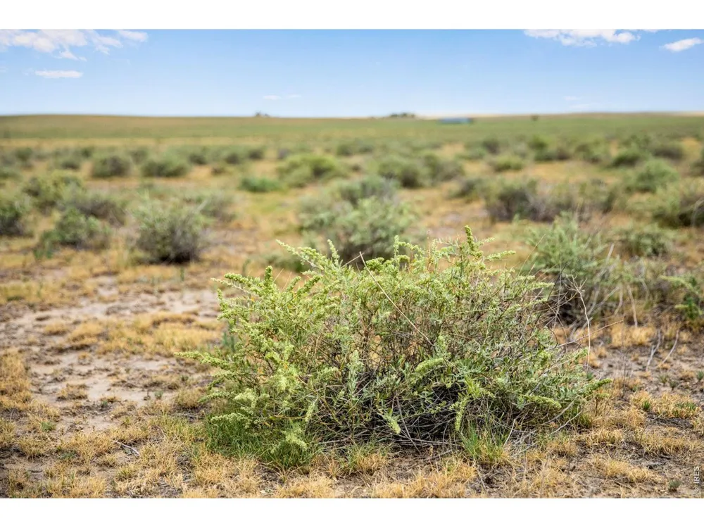 0 County Road 108 Parcel 9 Lot B Nunn, CO 80648