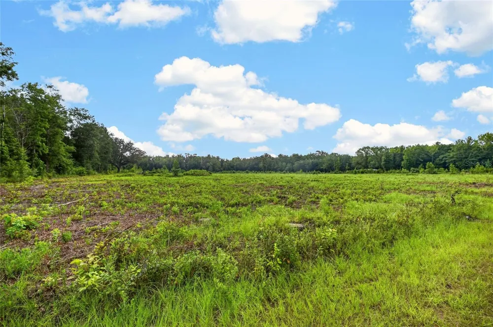 NW 239 Alachua, FL 32615