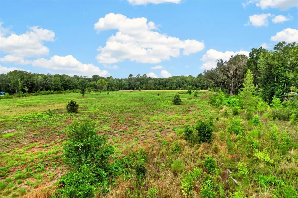 NW 239 Alachua, FL 32615