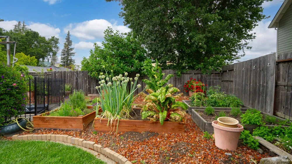 3 Miranda Court Novato, CA 94947