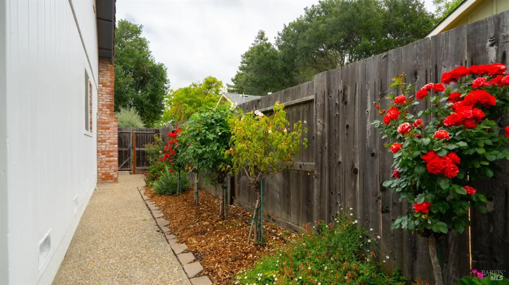 3 Miranda Court Novato, CA 94947