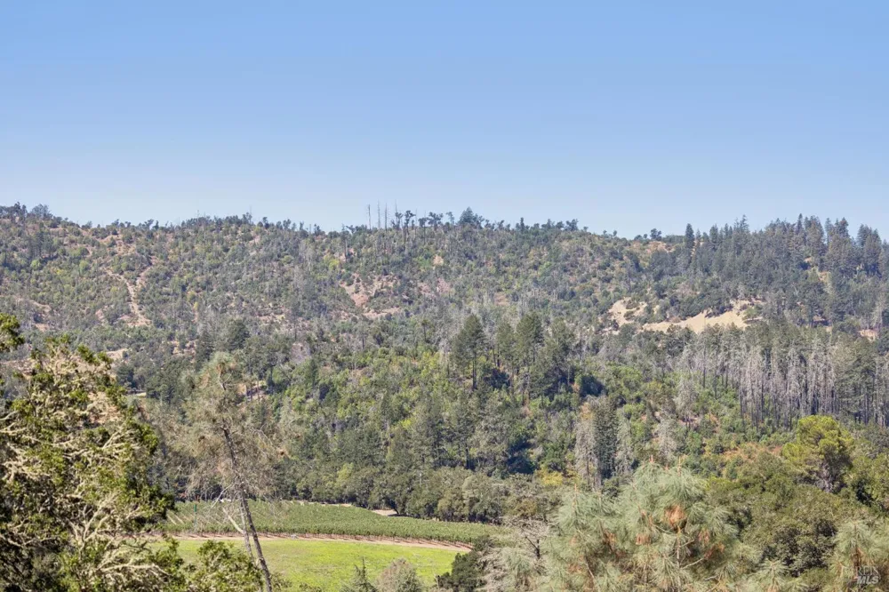 1128 Bennett Lane Calistoga, CA 94515