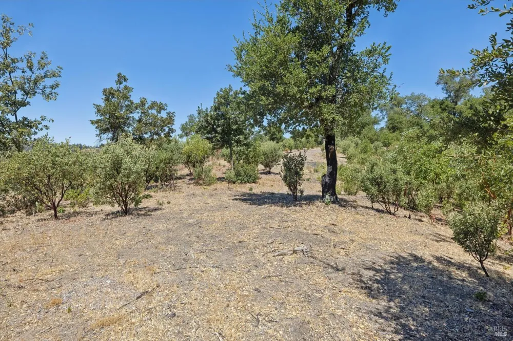 1128 Bennett Lane Calistoga, CA 94515