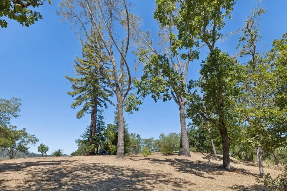 1128 Bennett Lane Calistoga, CA 94515