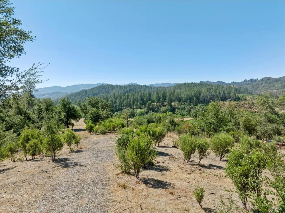 1128 Bennett Lane Calistoga, CA 94515
