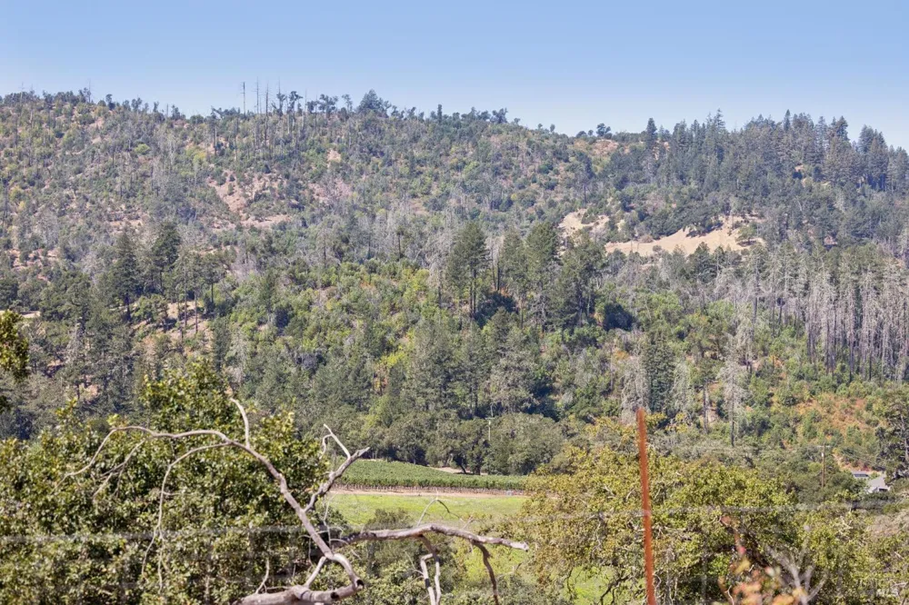 1128 Bennett Lane Calistoga, CA 94515