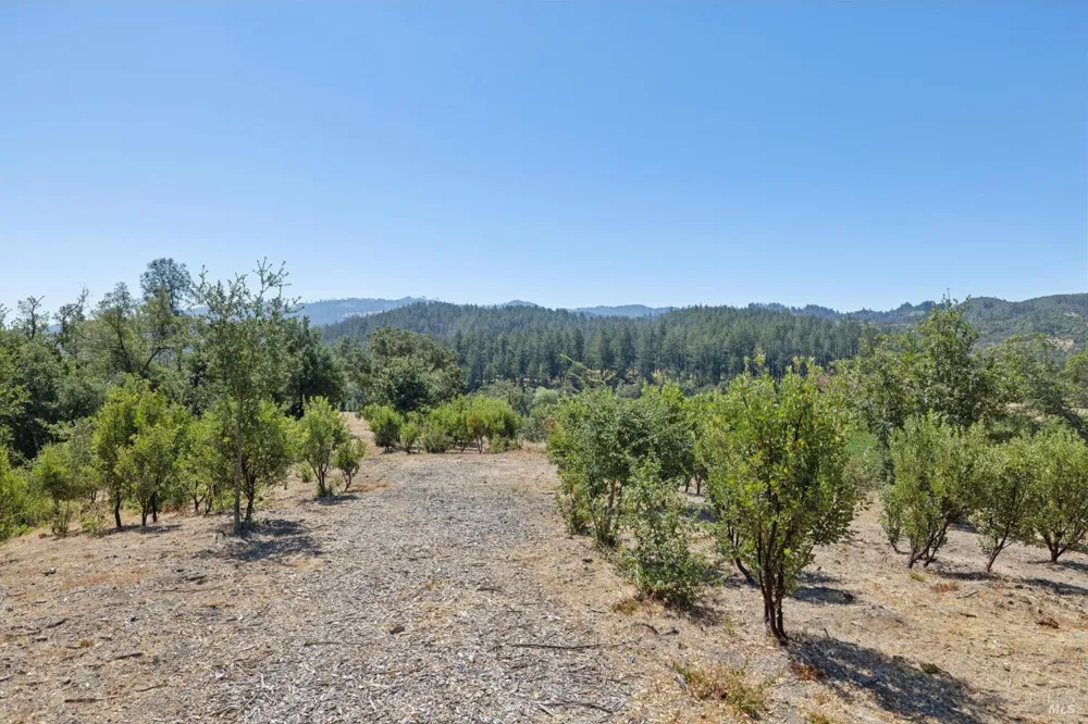 1128 Bennett Lane Calistoga, CA 94515