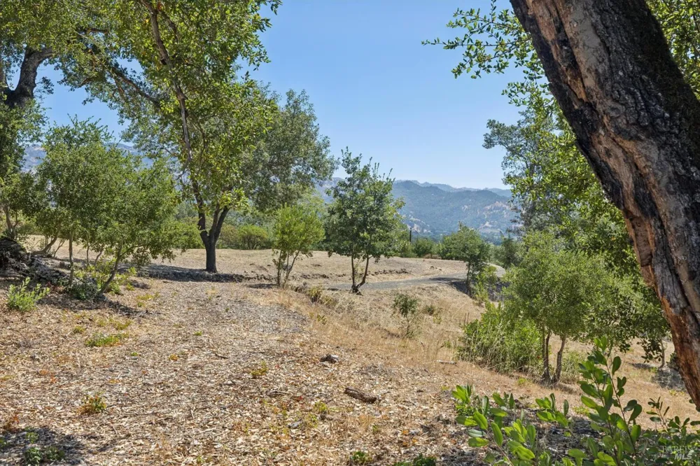 1128 Bennett Lane Calistoga, CA 94515
