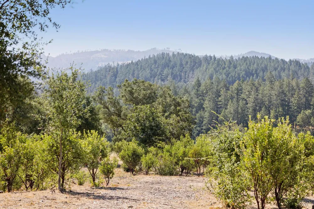 1128 Bennett Lane Calistoga, CA 94515