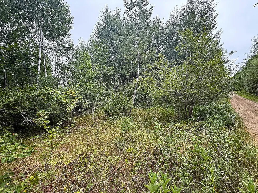 10046 Legionville Road Brainerd, MN 56401