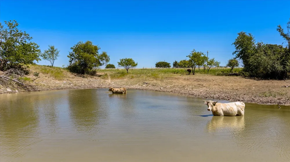3575 County Road 522 Stephenville, TX 76401
