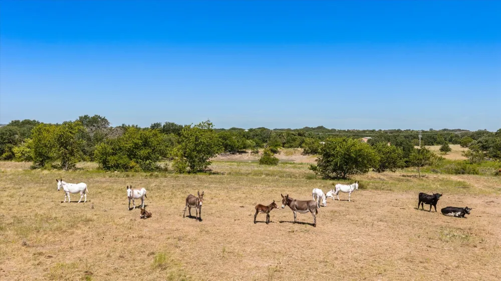 3575 County Road 522 Stephenville, TX 76401