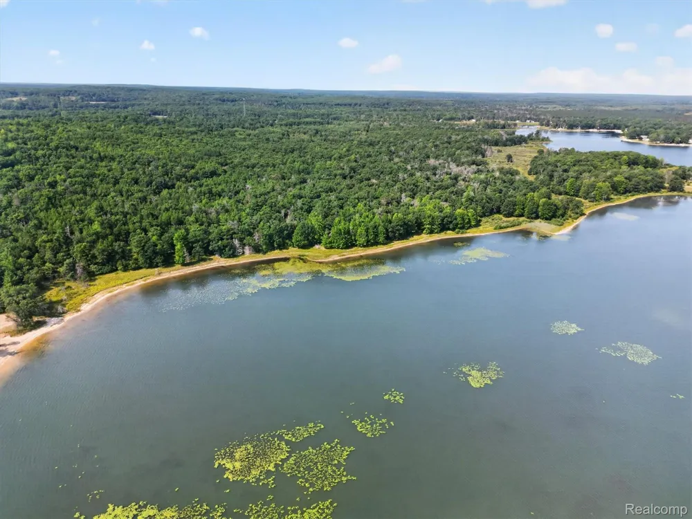 Twin Lakes Road Nester Township, MI 48656