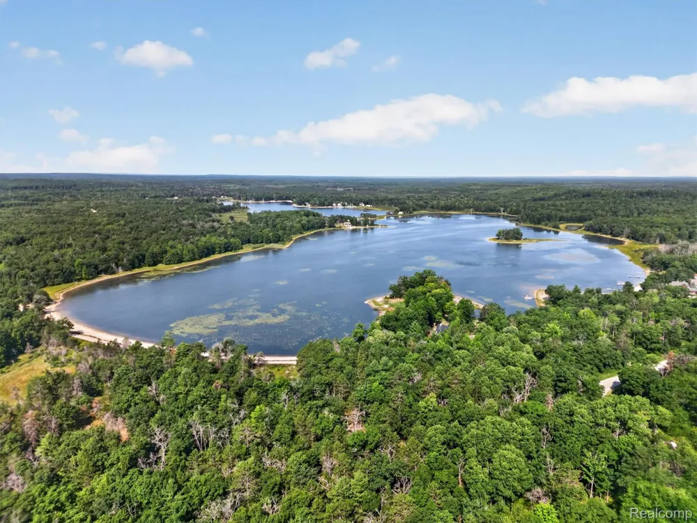Twin Lakes Road Nester Township, MI 48656