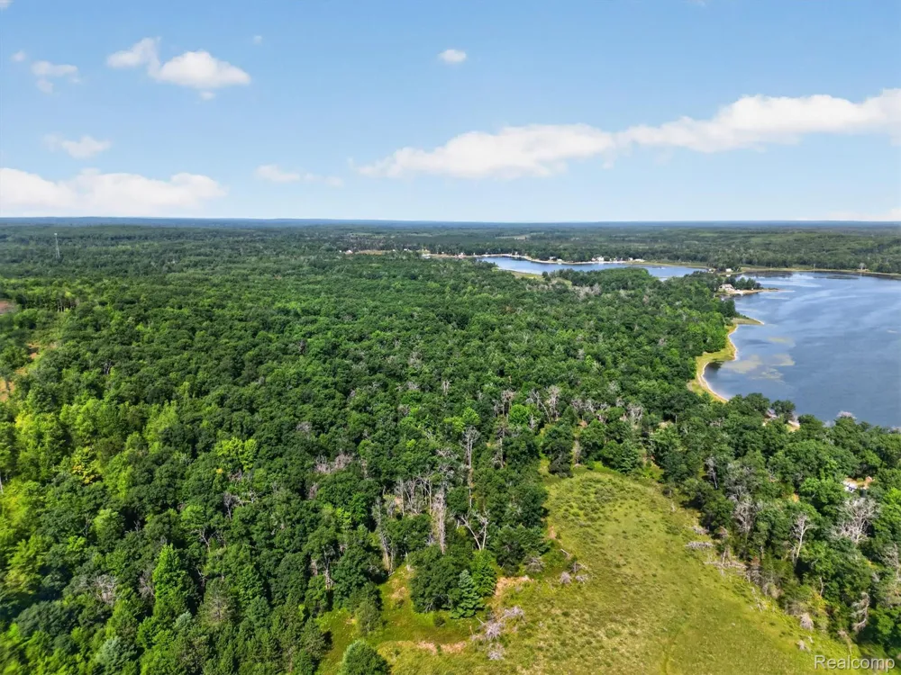 Twin Lakes Road Nester Township, MI 48656
