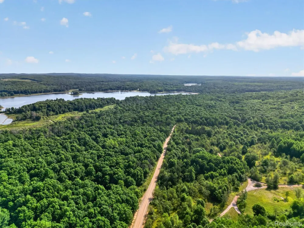 Twin Lakes Road Nester Township, MI 48656
