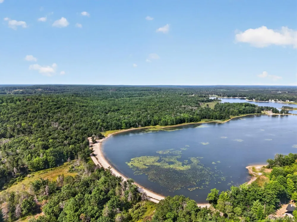 Twin Lakes Road Nester Township, MI 48656