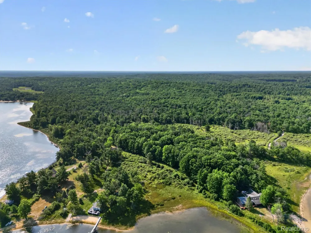 Twin Lakes Road Nester Township, MI 48656