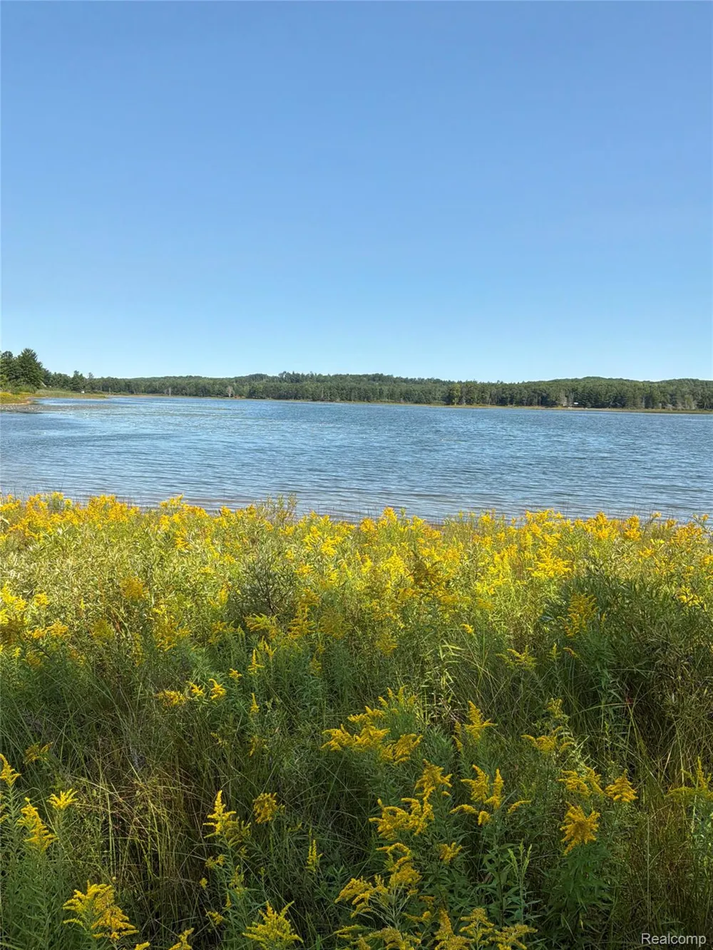 Twin Lakes Road Nester Township, MI 48656