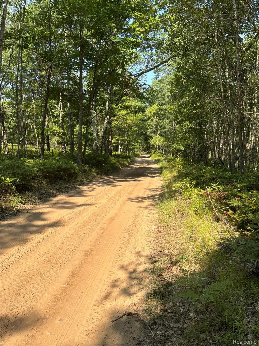Twin Lakes Road Nester Township, MI 48656