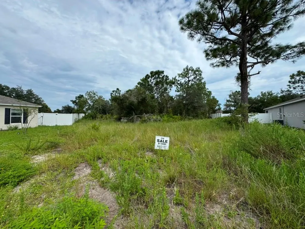 420 ST JOHNS LANE Poinciana, FL 34759