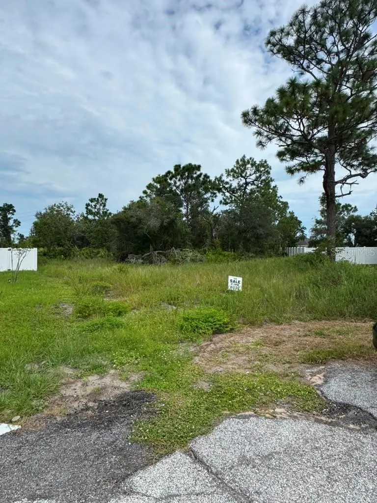 420 ST JOHNS LANE Poinciana, FL 34759