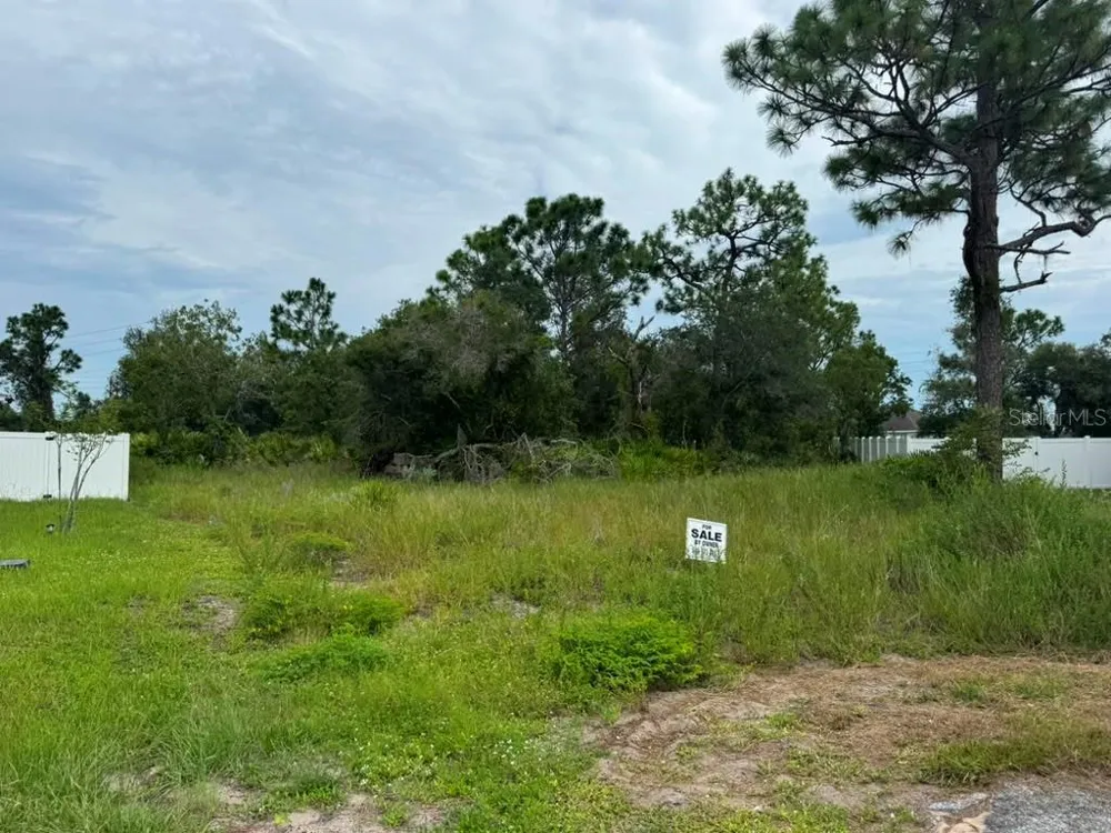 420 ST JOHNS LANE Poinciana, FL 34759