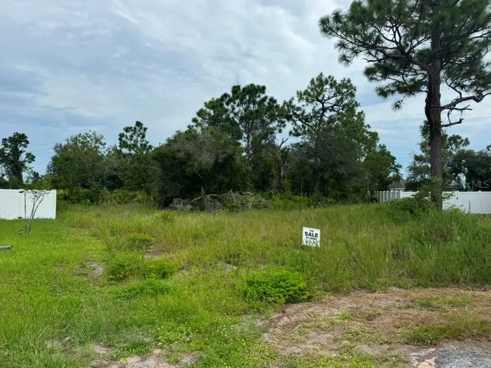 420 ST JOHNS LANE Poinciana, FL 34759