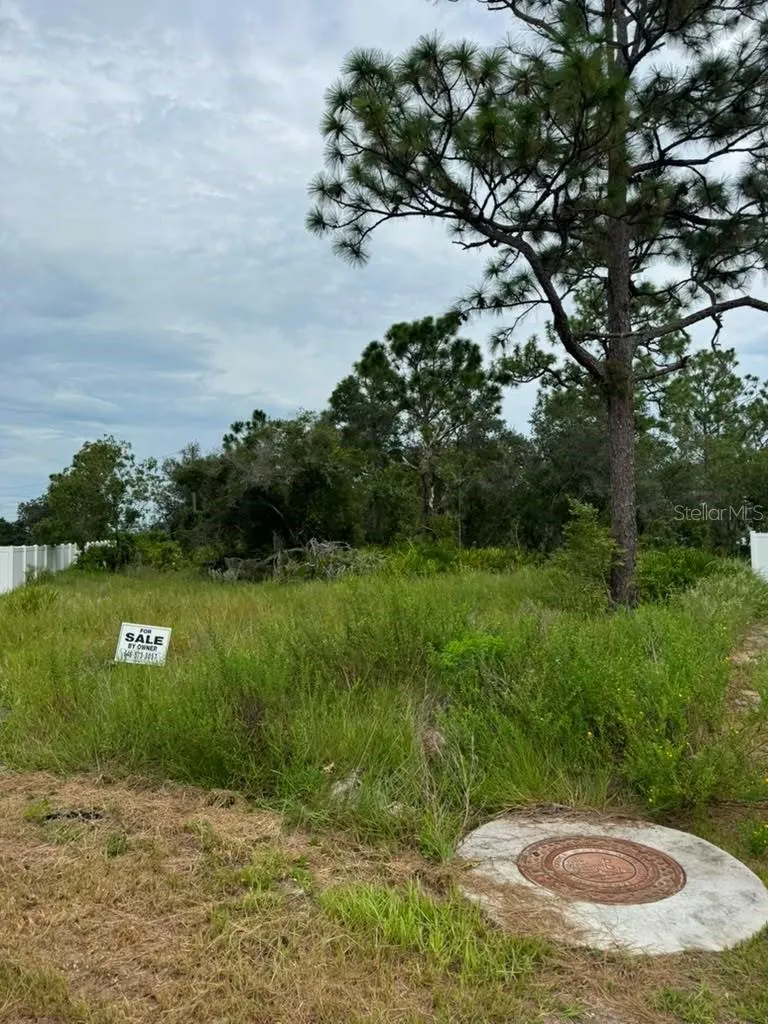 420 ST JOHNS LANE Poinciana, FL 34759