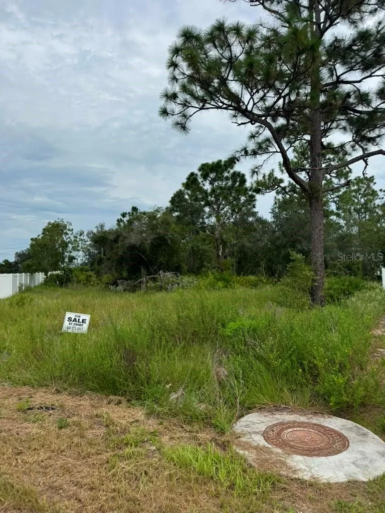 420 ST JOHNS LANE Poinciana, FL 34759