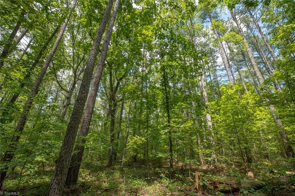 8942 Spearman Road Reidsville, NC 27320