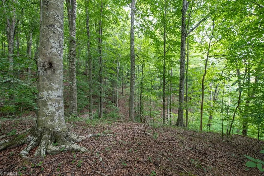 8942 Spearman Road Reidsville, NC 27320