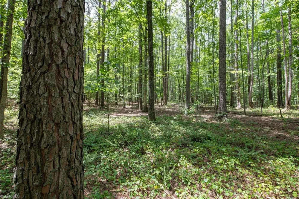 8942 Spearman Road Reidsville, NC 27320