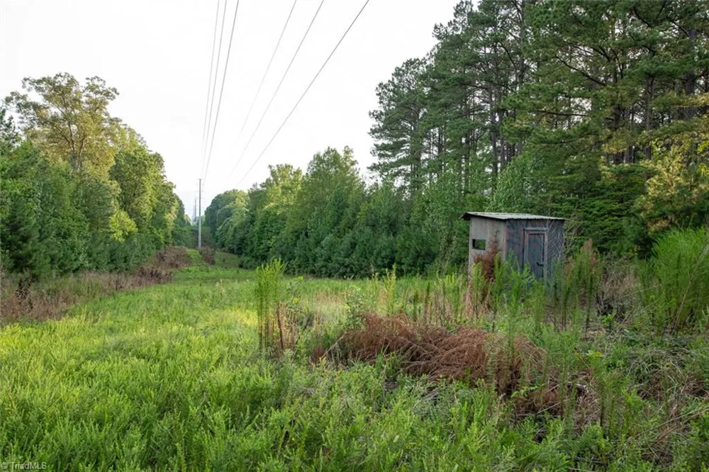 8942 Spearman Road Reidsville, NC 27320