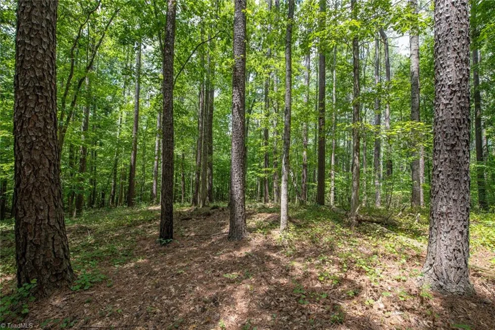 8942 Spearman Road Reidsville, NC 27320