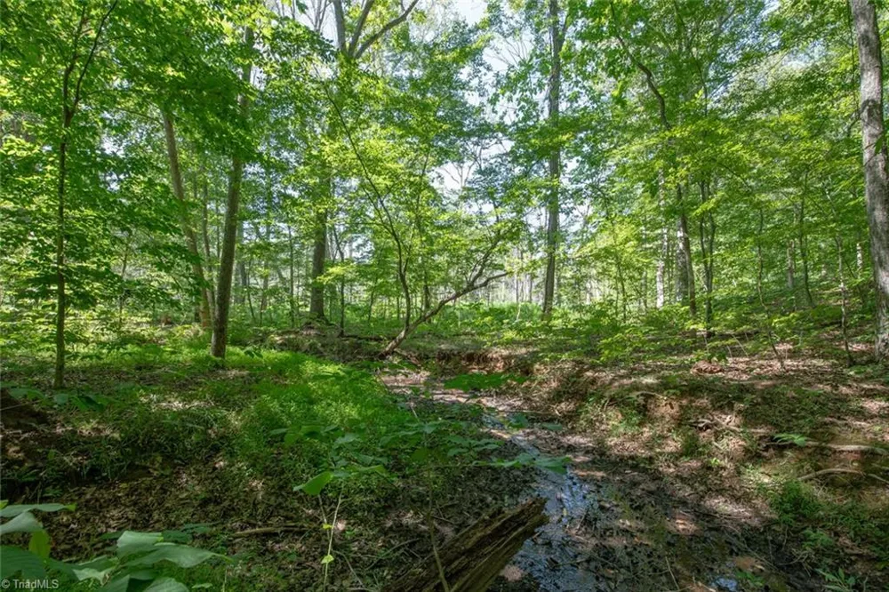 8942 Spearman Road Reidsville, NC 27320