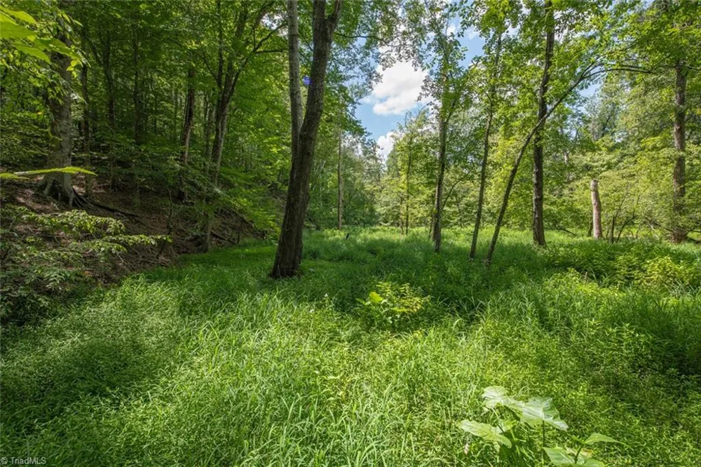 8942 Spearman Road Reidsville, NC 27320