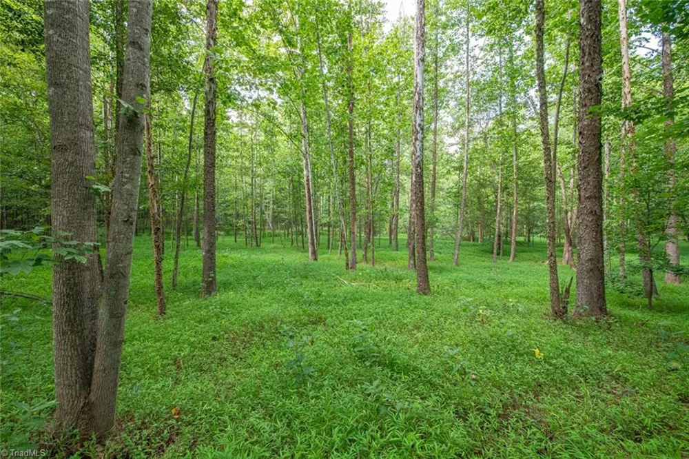 8942 Spearman Road Reidsville, NC 27320
