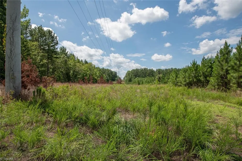 8942 Spearman Road Reidsville, NC 27320