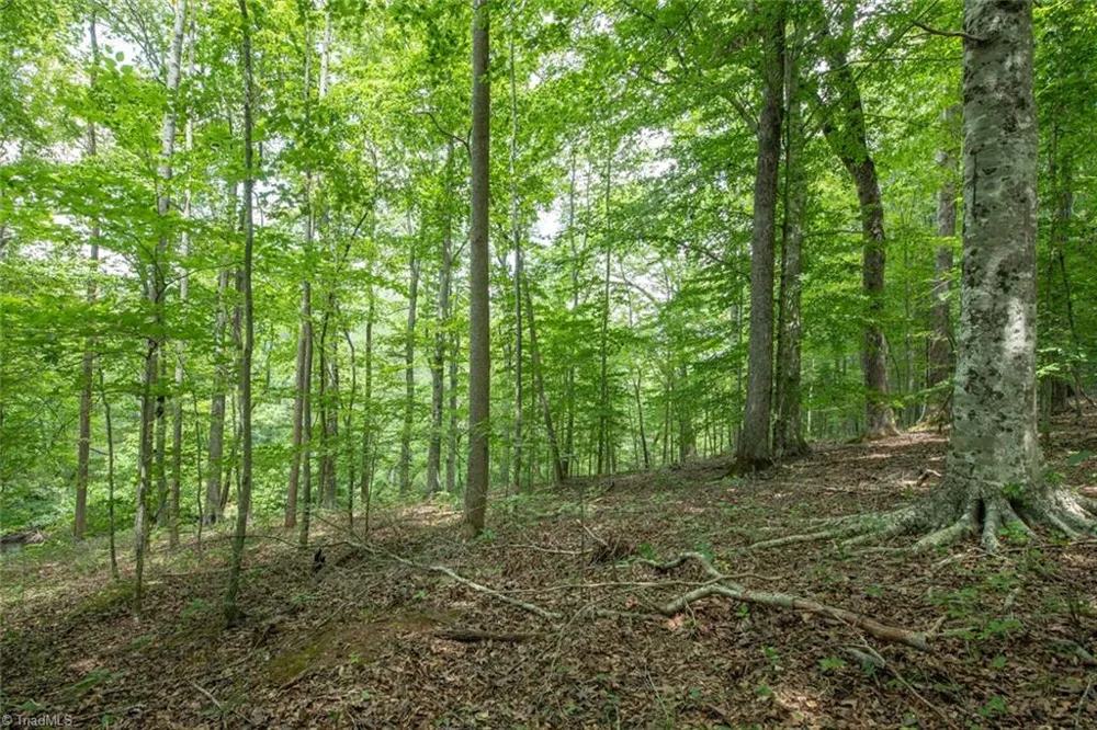 8942 Spearman Road Reidsville, NC 27320