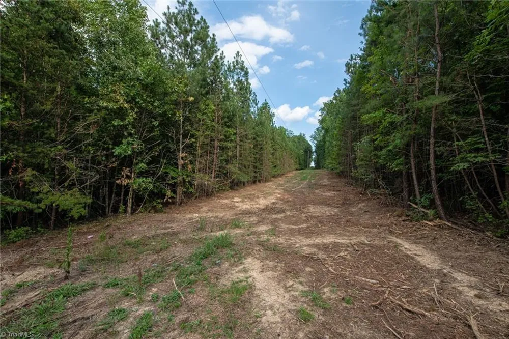 8942 Spearman Road Reidsville, NC 27320