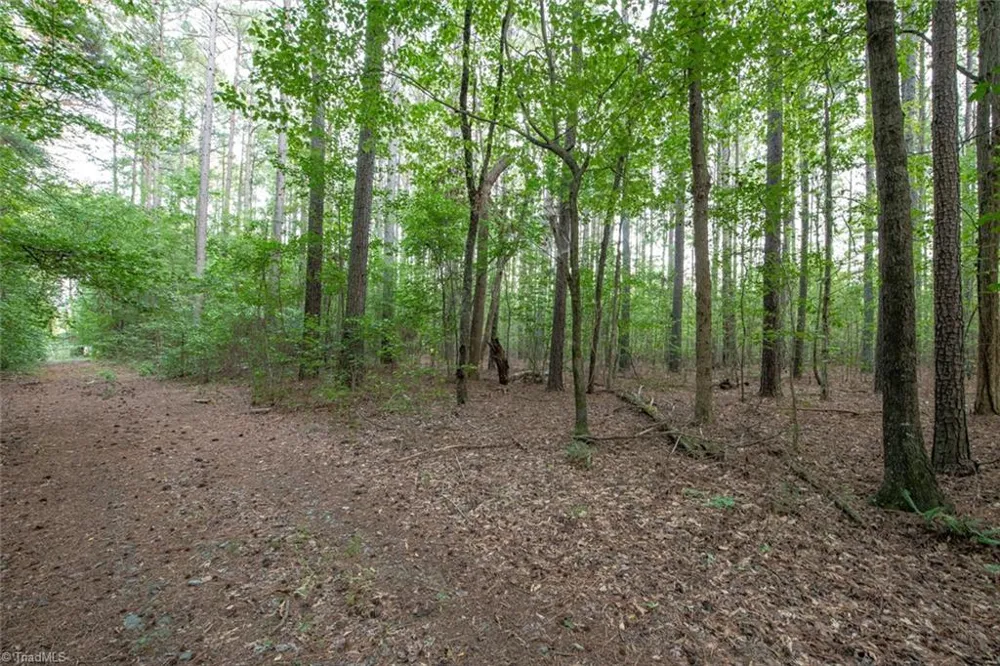 8942 Spearman Road Reidsville, NC 27320