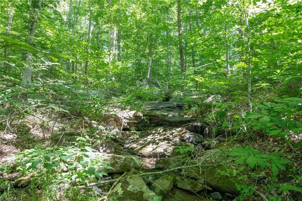 8942 Spearman Road Reidsville, NC 27320