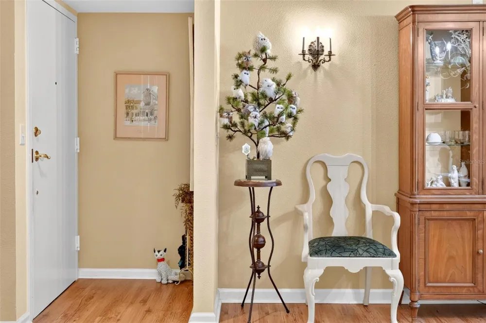 250 CAROLINA AVENUE #205 Winter Park, FL 32789