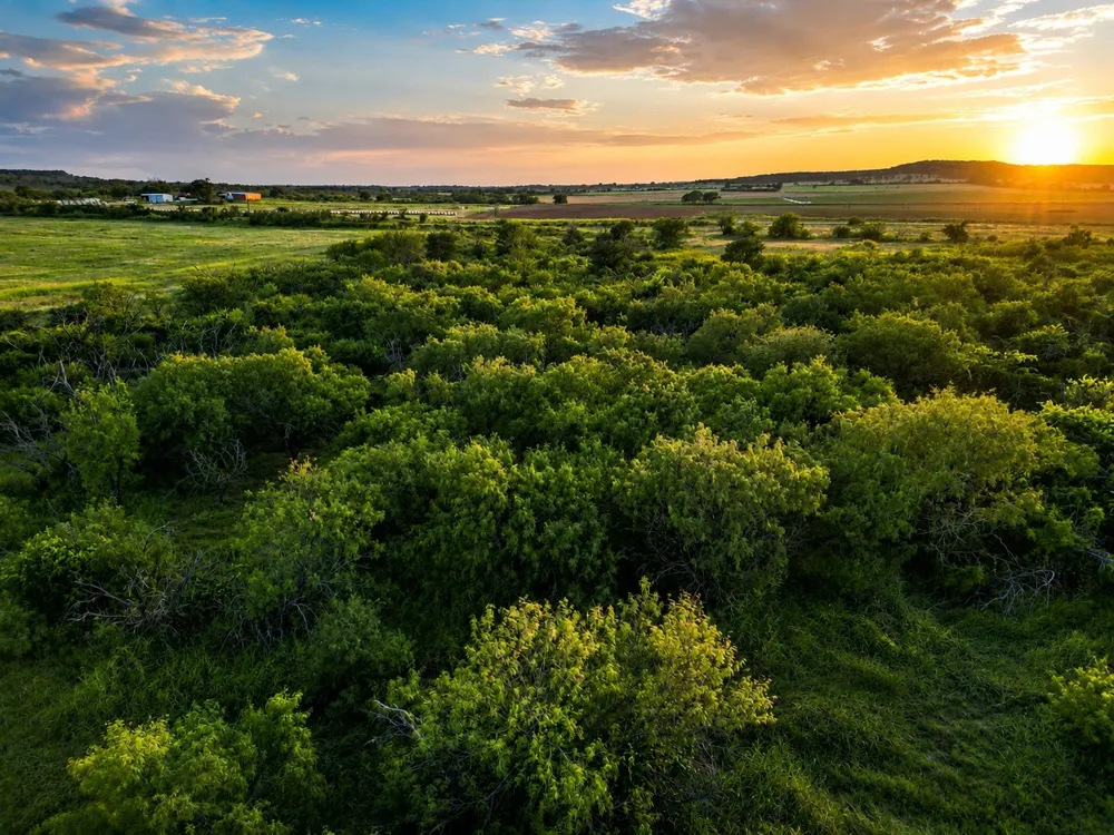 1448 County Road 129 Rising Star, TX 76471